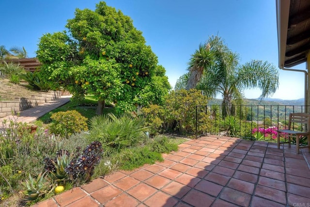 3149 Old Post Rd, Fallbrook, CA 92028 - photo 49