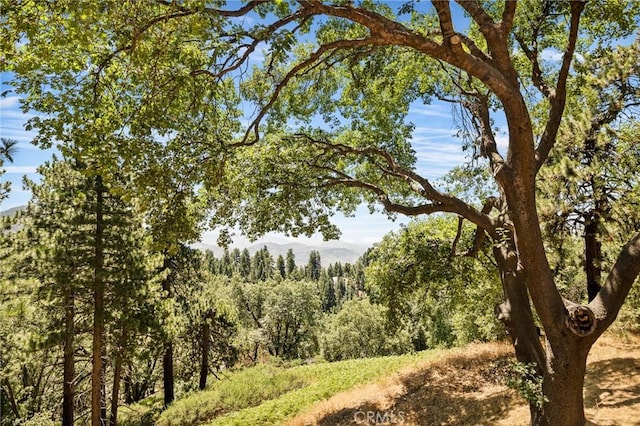 2461 Spring Oak Dr, Running Springs, CA 92382 - photo 42