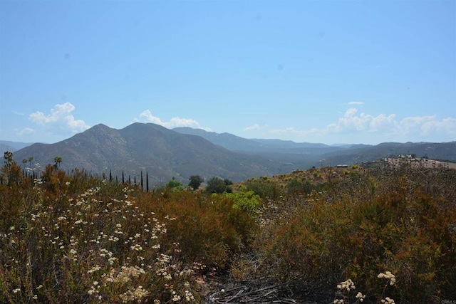 16325 Dia Del Sol, Valley Center, CA 92082 - photo 6