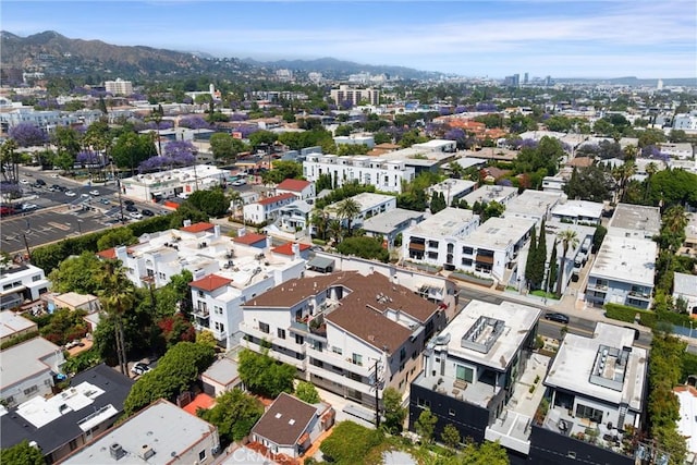1021 N Crescent Heights Blvd Unit 101, Los Angeles, CA 90046 - photo 31