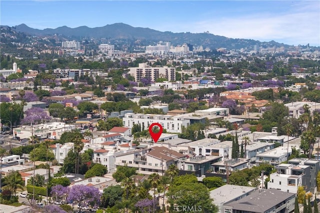 1021 N Crescent Heights Blvd Unit 101, Los Angeles, CA 90046 - photo 27