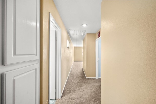 36280 Breitner Way, Winchester, CA 92596 - photo 38