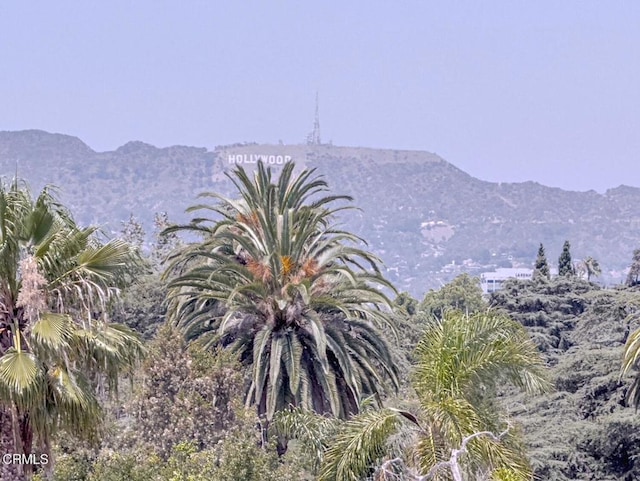 4460 Wilshire Blvd Unit 406, Los Angeles, CA 90010 - photo 20
