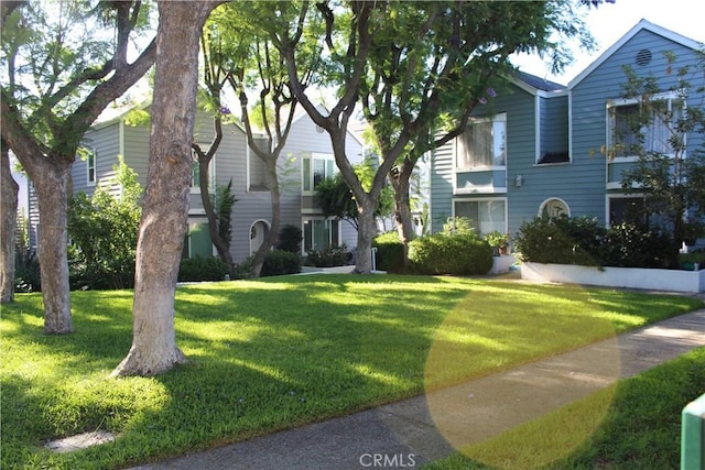 591 N Garfield Ave Unit 5, Pasadena, CA 91101 - photo 35