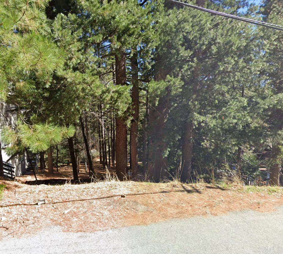 0 San Benito Ln, Lake Arrowhead, CA 92352 - photo 2