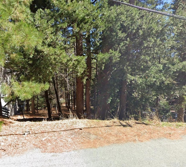 0 San Benito Ln, Lake Arrowhead, CA 92352 - photo 2