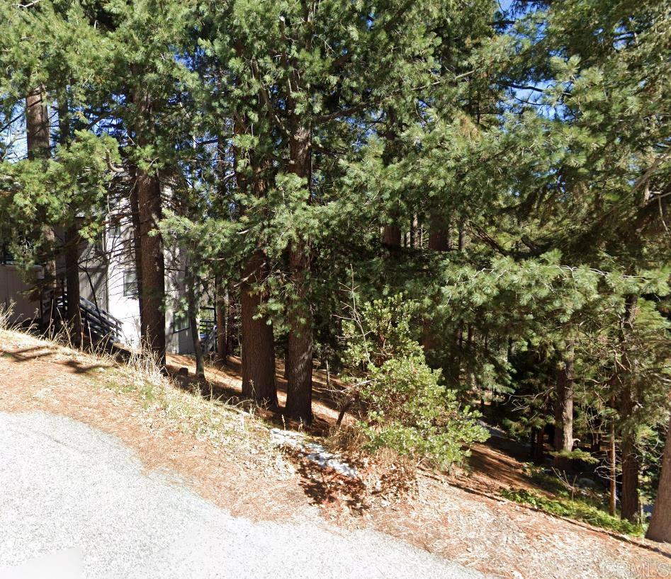 0 San Benito Ln, Lake Arrowhead, CA 92352 - photo 1