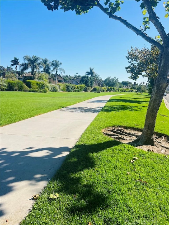 5417 Camino Mojado, San Clemente, CA 92673 - photo 16
