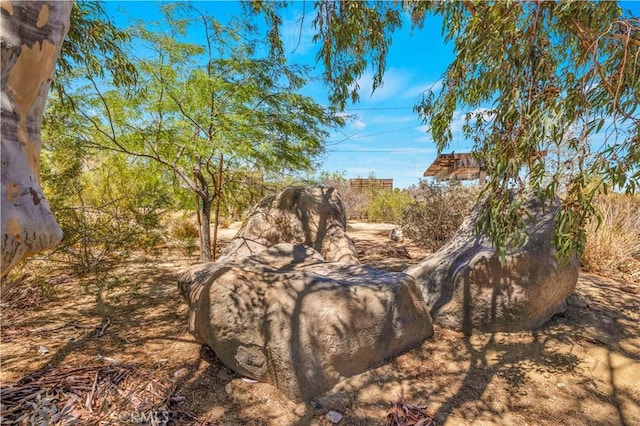 4851 Avenida La Flora Desierta, Joshua Tree, CA 92252 - photo 31
