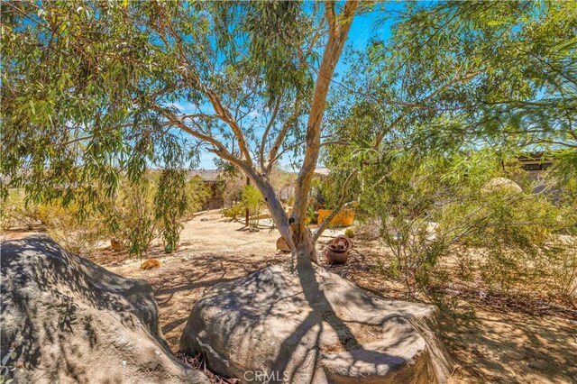 4851 Avenida La Flora Desierta, Joshua Tree, CA 92252 - photo 35