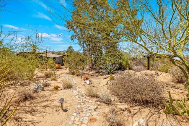 4851 Avenida La Flora Desierta, Joshua Tree, CA 92252 - photo 32