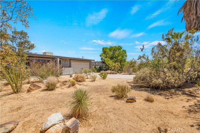4851 Avenida La Flora Desierta, Joshua Tree, CA 92252 - photo 6
