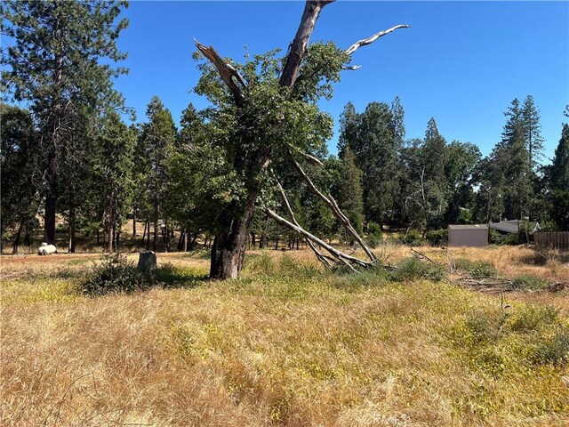 13595 Babson Ct, Magalia, CA 95954 - photo 20