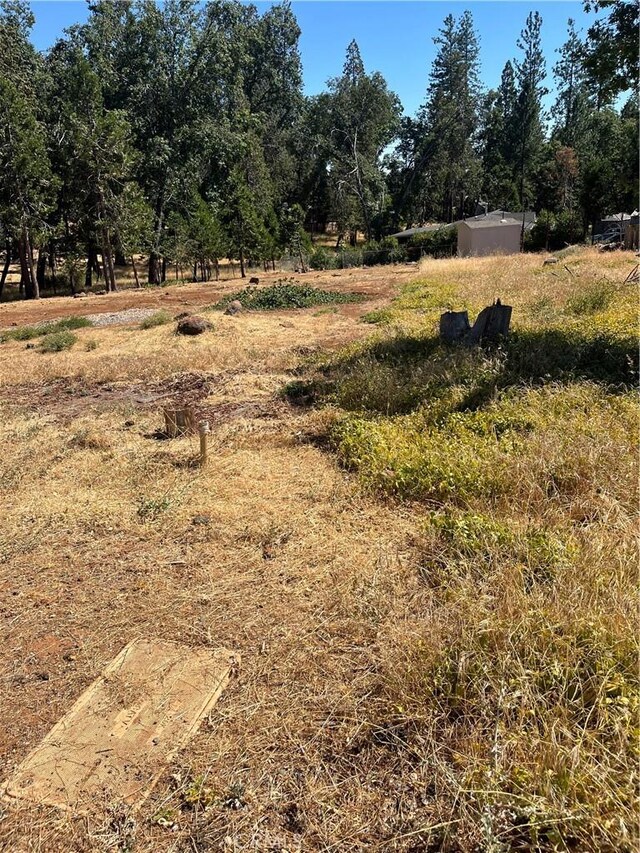 13595 Babson Ct, Magalia, CA 95954 - photo 3