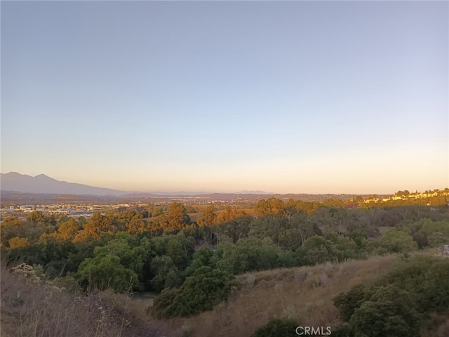 16614 Samgerry Dr, La Puente, CA 91744 - photo 29