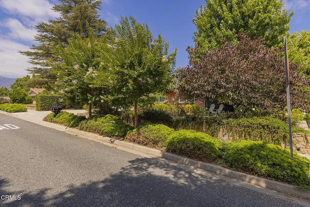 2064 S Rice Rd, Ojai, CA 93023 - photo 32