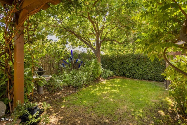2064 S Rice Rd, Ojai, CA 93023 - photo 30