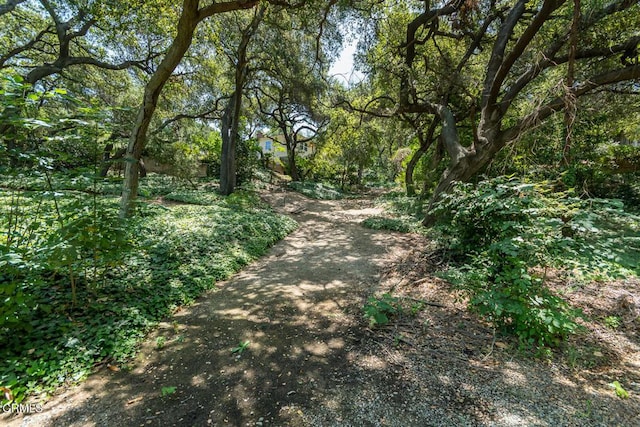 563 Highland Dr, La Canada Flintridge, CA 91011 - photo 75