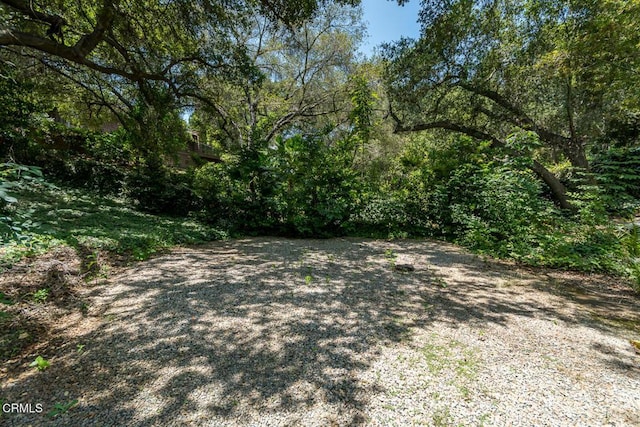 563 Highland Dr, La Canada Flintridge, CA 91011 - photo 74