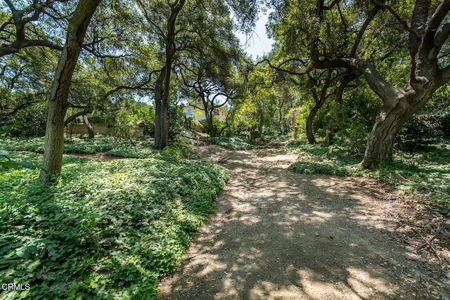 563 Highland Dr, La Canada Flintridge, CA 91011 - photo 71