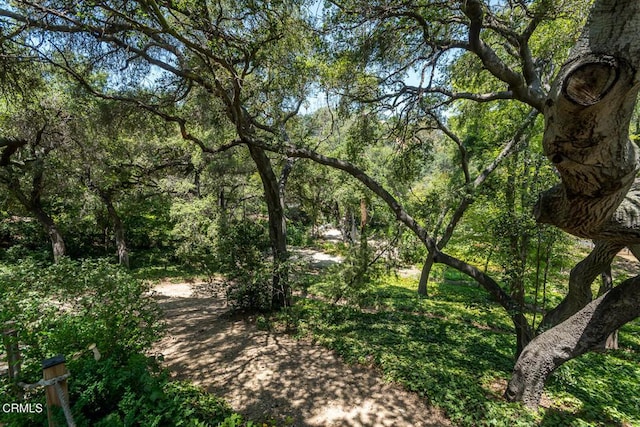 563 Highland Dr, La Canada Flintridge, CA 91011 - photo 69