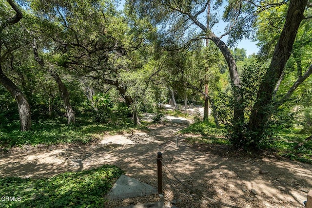 563 Highland Dr, La Canada Flintridge, CA 91011 - photo 70