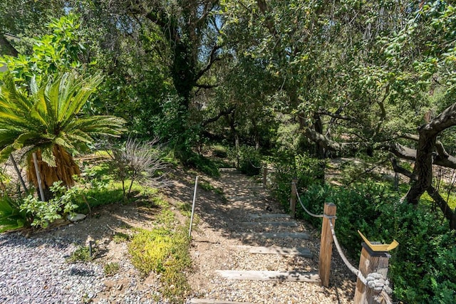 563 Highland Dr, La Canada Flintridge, CA 91011 - photo 68