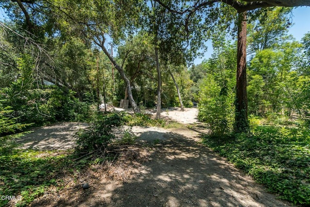 563 Highland Dr, La Canada Flintridge, CA 91011 - photo 73
