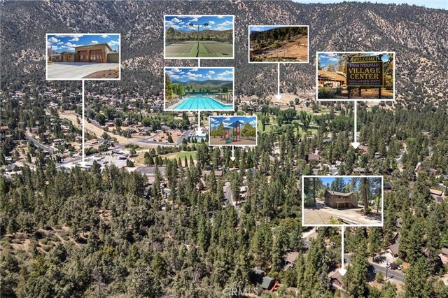 2213 Birchwood Way, Pine Mountain Club, CA 93222 - photo 28
