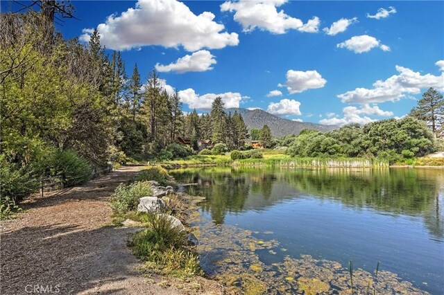 2213 Birchwood Way, Pine Mountain Club, CA 93222 - photo 36