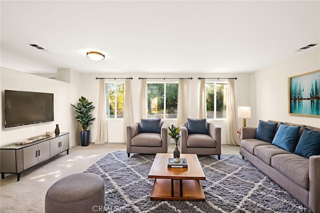 35749 Rosedown Ln, Wildomar, CA 92595 - photo 8
