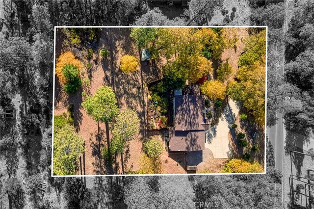 14274 Regina Way, Cobb, CA 95426 - photo 67
