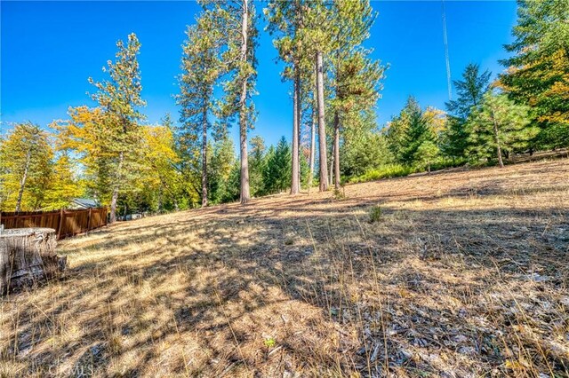 14274 Regina Way, Cobb, CA 95426 - photo 43
