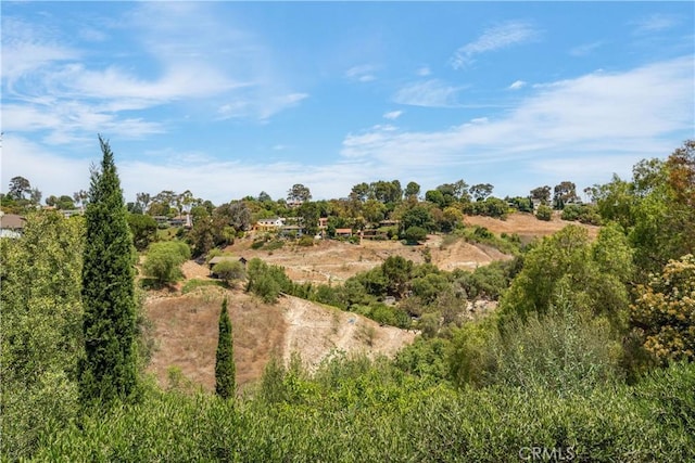 55 Hidden Valley Rd, Rolling Hills Estates, CA 90274 - photo 40