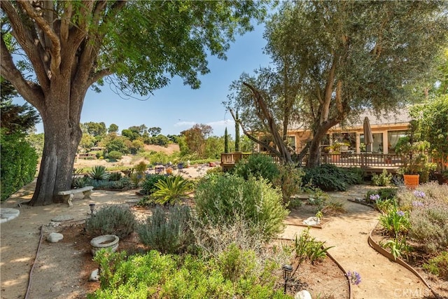 55 Hidden Valley Rd, Rolling Hills Estates, CA 90274 - photo 37