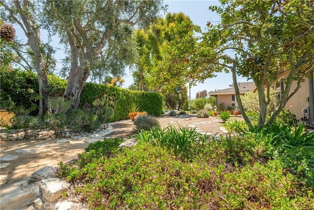 55 Hidden Valley Rd, Rolling Hills Estates, CA 90274 - photo 41
