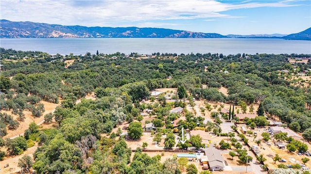 2631 Withington Way, Lakeport, CA 95453 - photo 34