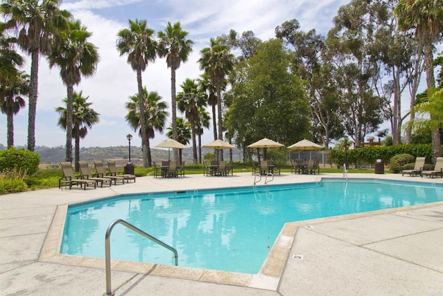 3664 Lorimer Ln, Encinitas, CA 92024 - photo 26