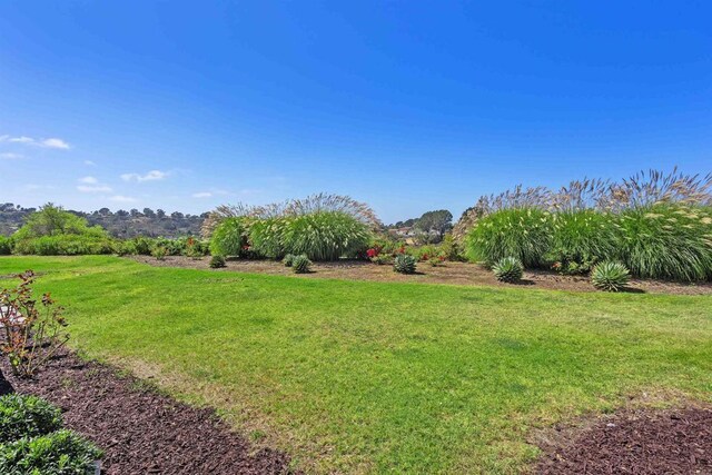 3664 Lorimer Ln, Encinitas, CA 92024 - photo 24