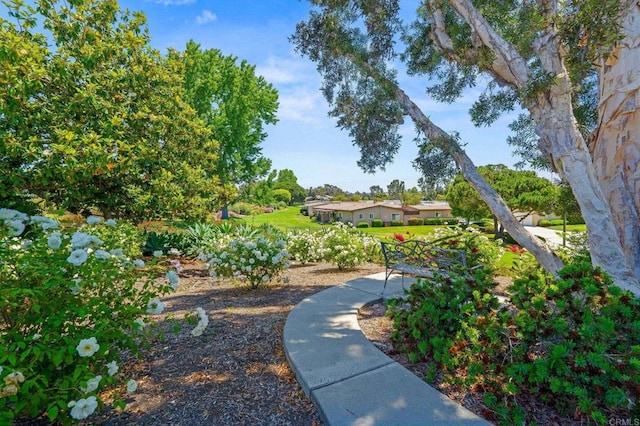3820 Cinnamon Way, Oceanside, CA 92057 - photo 23