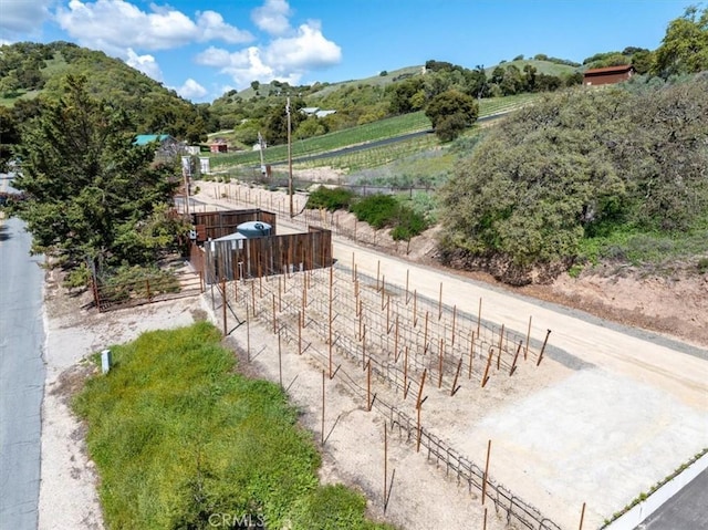 1530 Peachy Canyon Rd, Paso Robles, CA 93446 - photo 33