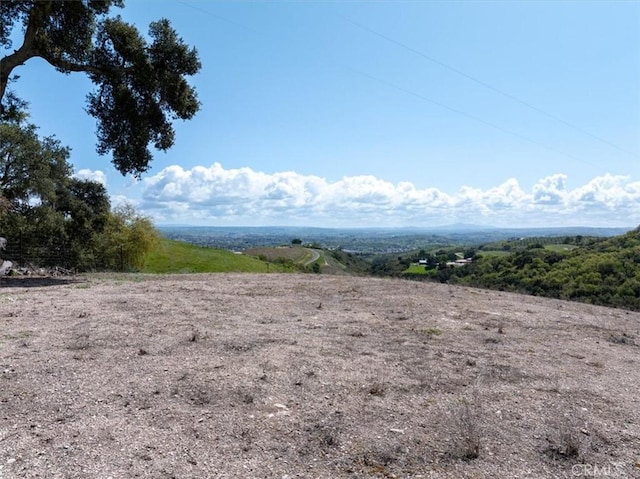 1530 Peachy Canyon Rd, Paso Robles, CA 93446 - photo 38