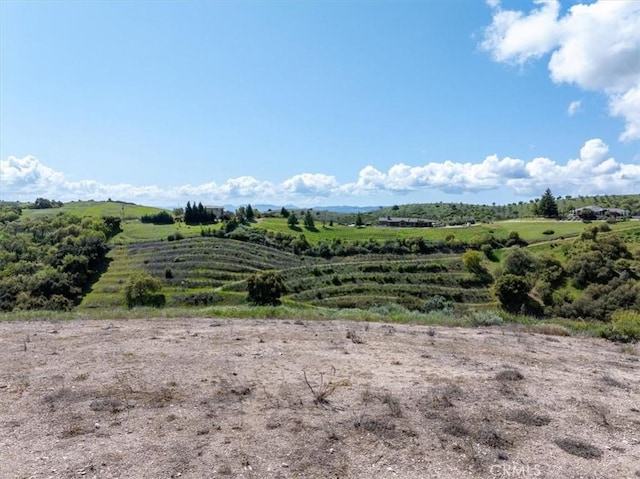 1530 Peachy Canyon Rd, Paso Robles, CA 93446 - photo 7