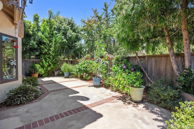 708 Summersong Ln, Encinitas, CA 92024 - photo 31