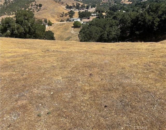 9974 Flyrod Dr, Paso Robles, CA 93446 - photo 10