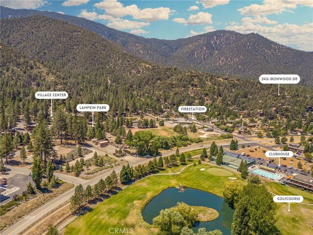 2416 Ironwood Dr, Pine Mountain Club, CA 93222 - photo 9