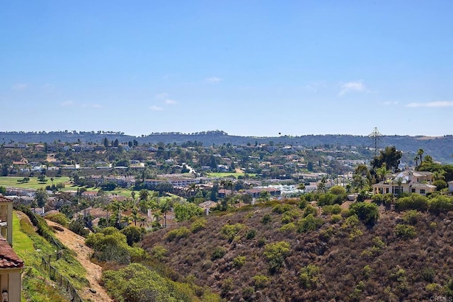 3116 Vista Bonita, Carlsbad, CA 92009 - photo 19