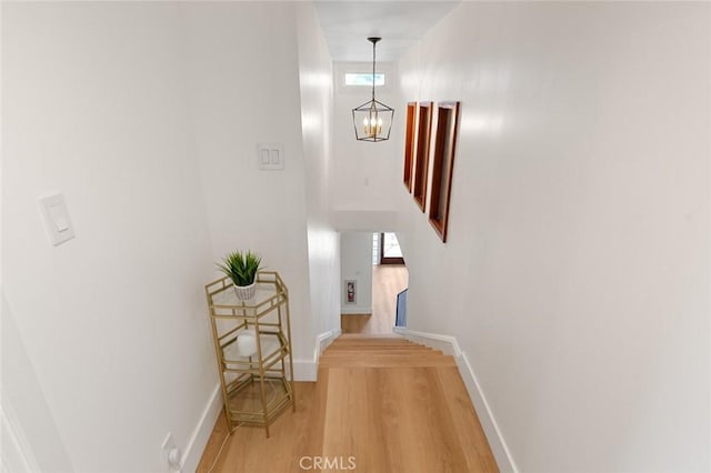 22224 Reynolds Dr, Torrance, CA 90505 - photo 26