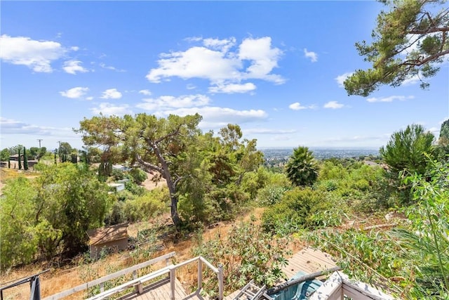 770 E Avocado Crest Rd, La Habra Heights, CA 90631 - photo 65