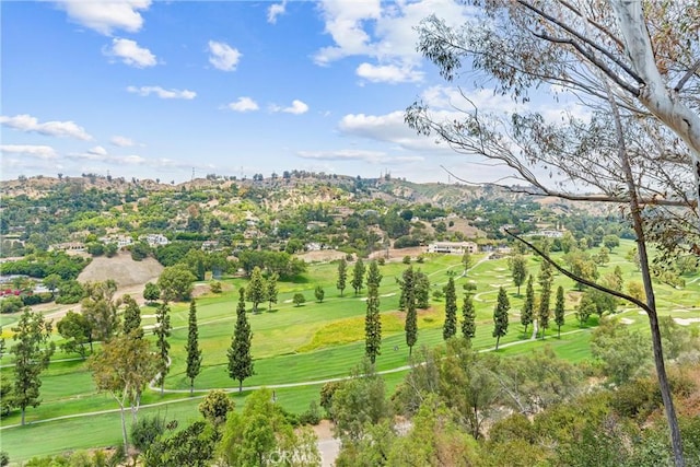 770 E Avocado Crest Rd, La Habra Heights, CA 90631 - photo 64